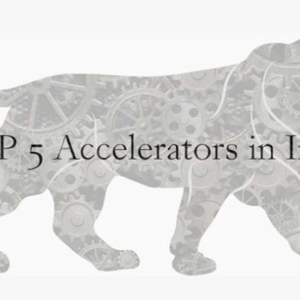 TOP 5 Accelerators in india