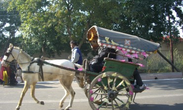 Decoding India's passenger conveyance: From Traditional Horse Carriages To Modern-Day fleet cabs, radio taxis and rental cars