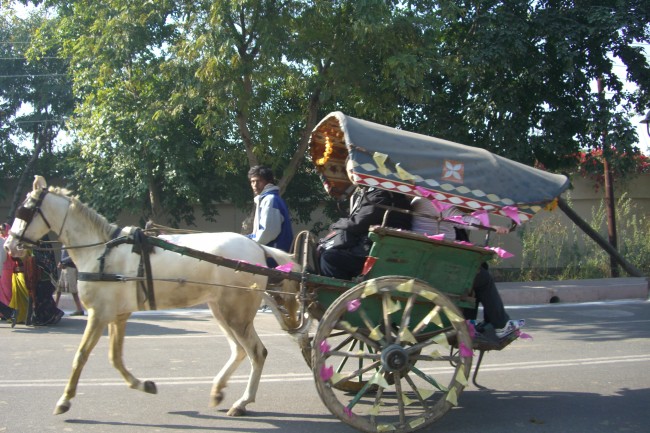 Decoding India’s passenger conveyance: From Traditional Horse Carriages To Modern-Day fleet cabs, radio taxis and rental cars