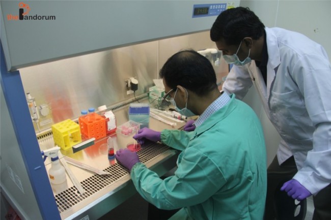 Bangalore-based startup grown human liver in laboratory