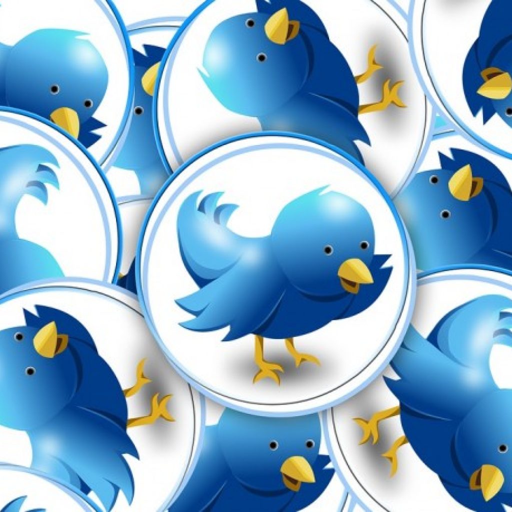 twitter logo