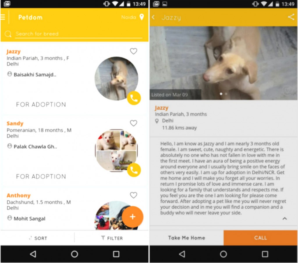 petdom app screen