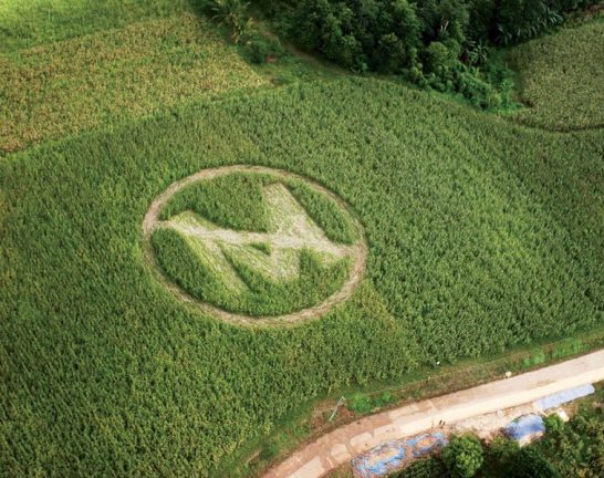 Monsanto, Microsoft to Invest in Agricultural Technology in Brazil