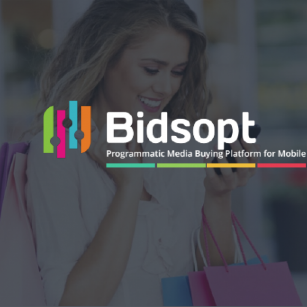 bidsopt a dsp platform