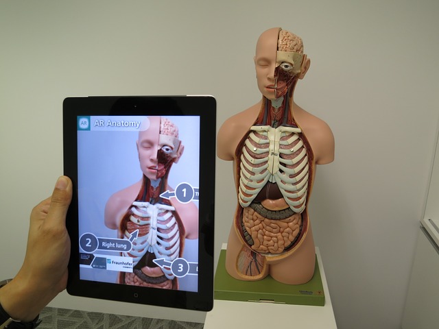 Scientist Developed New Augmented Reality System To Guide Plastic Surgery