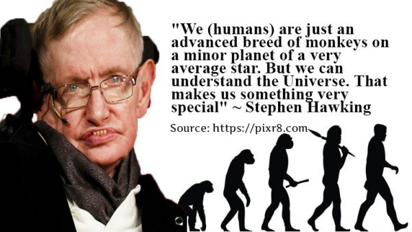 Stephen Hawking Quote