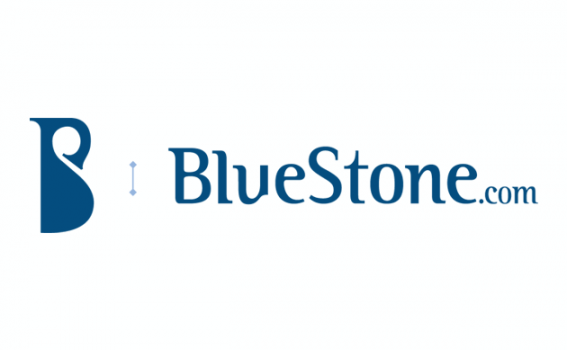 Bluestone Raises Rs 10 Crore Funding