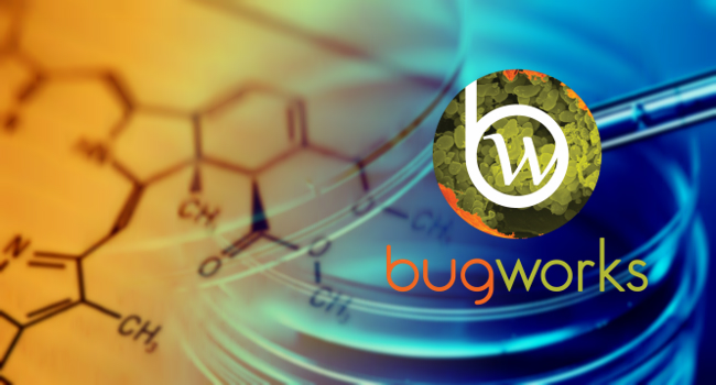 Bugworks Research Secures $9 million in Series A Funding