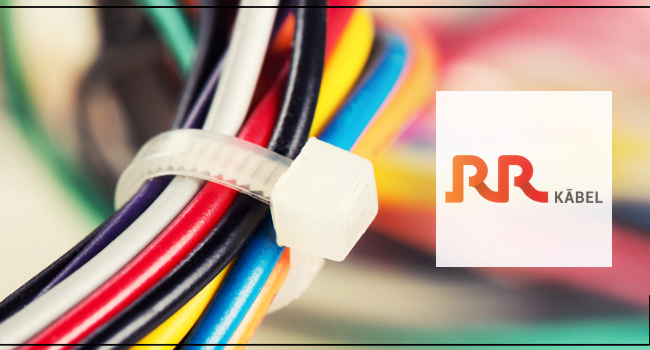 A US-based PE Firm to Acquire a 21 Percent Stake in RR Kabel