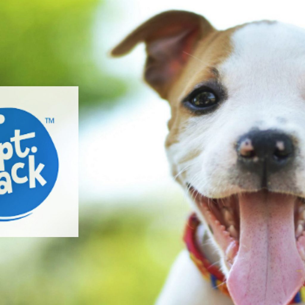 Petcare Startup Captain Zack Secures $1.5 million Funds