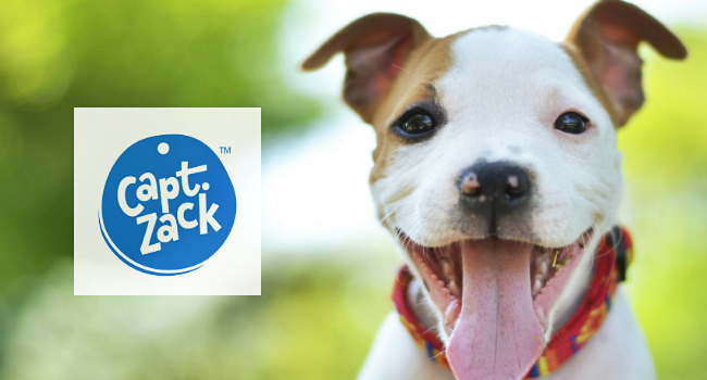 Petcare Startup Captain Zack Secures $1.5 million Funds