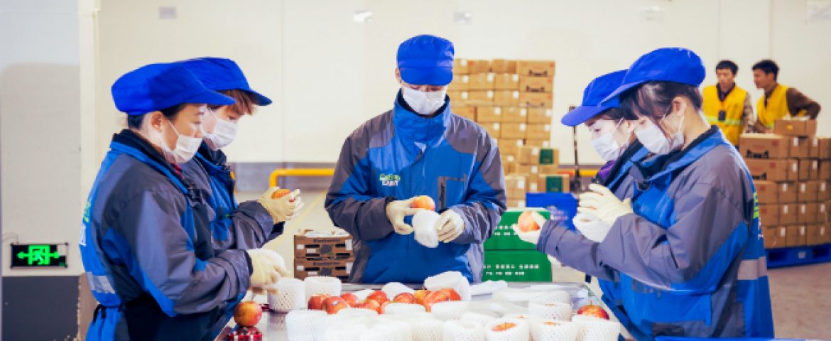 China’s Yiguo Group Launches Order-based Tracking System